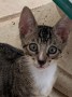 Walter 3
